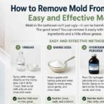 How to Remove Mold From Bathroom
