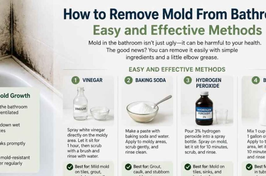 How to Remove Mold From Bathroom