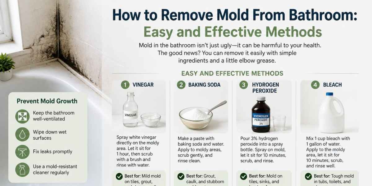 How to Remove Mold From Bathroom