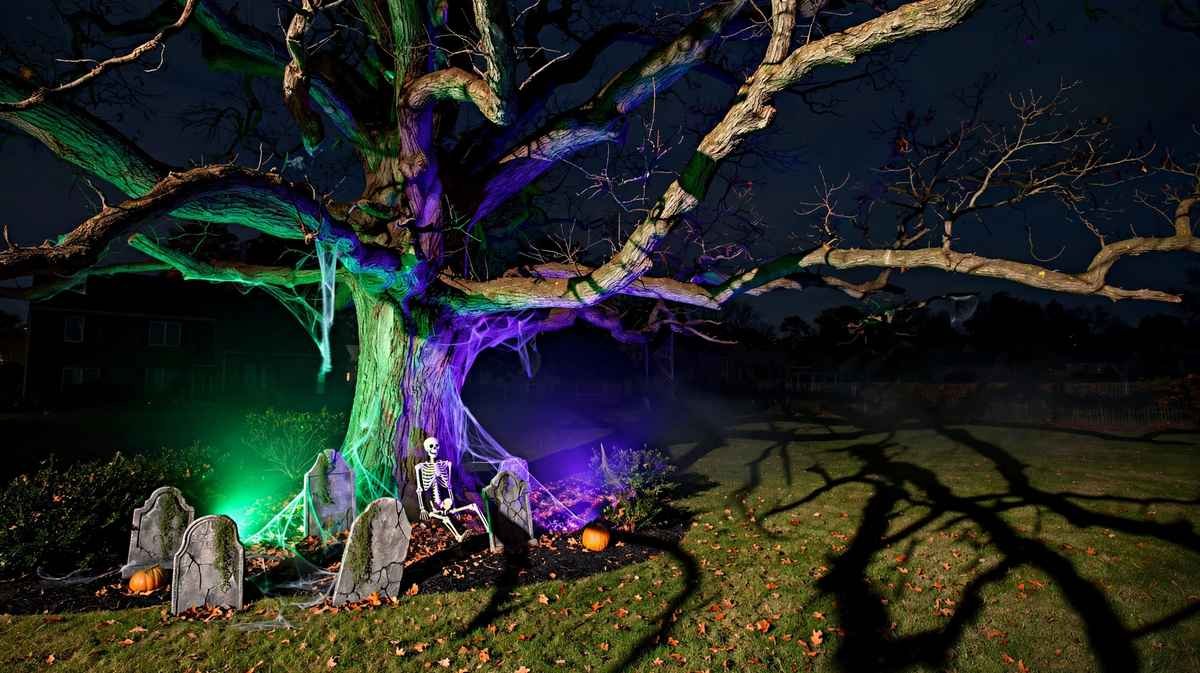 Purple and orange Halloween spotlight staked at the base of a tree, throwing colored uplight into the branches
